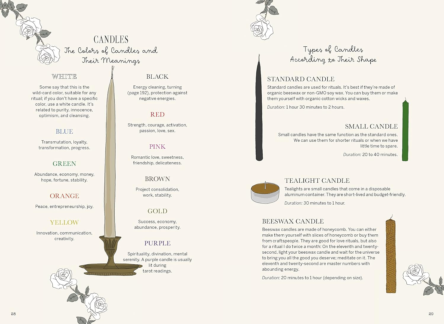 Magicka: Finding Spiritual Guidance through Plants, Herbs, Crystals, and More image number 2