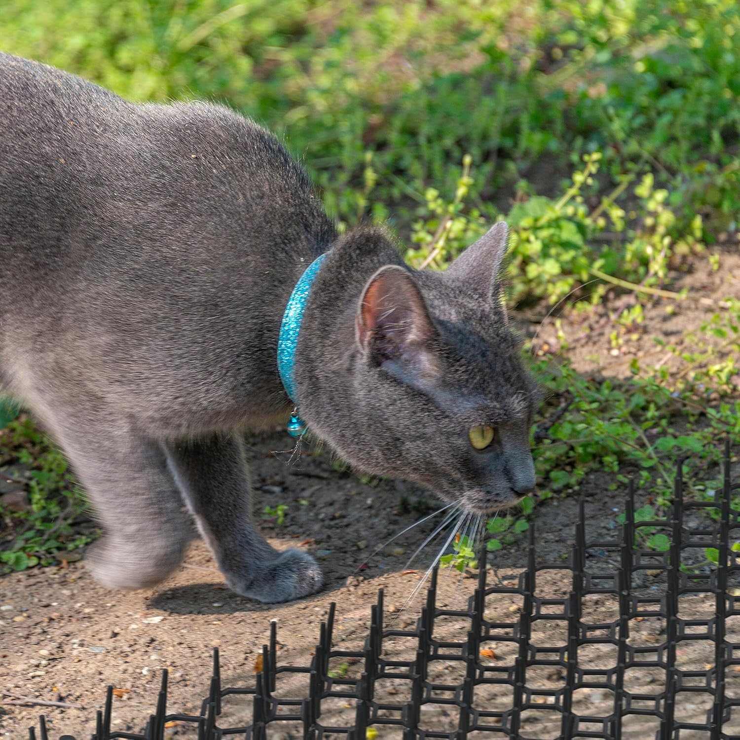 Relaxdays Thorn Grid, Set of 6, Marten & Cat Repellent, Protection for Beds, Plants, Plastic, Spiked Mat, Black image number 5