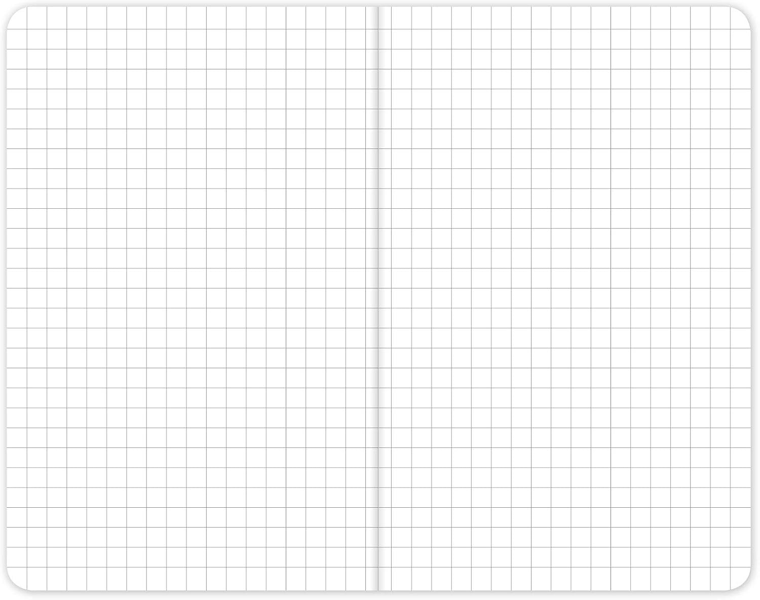 Field Notebook - 3.5"X5.5" - Graph Memo Book - Pack of 5 Graph image number 5