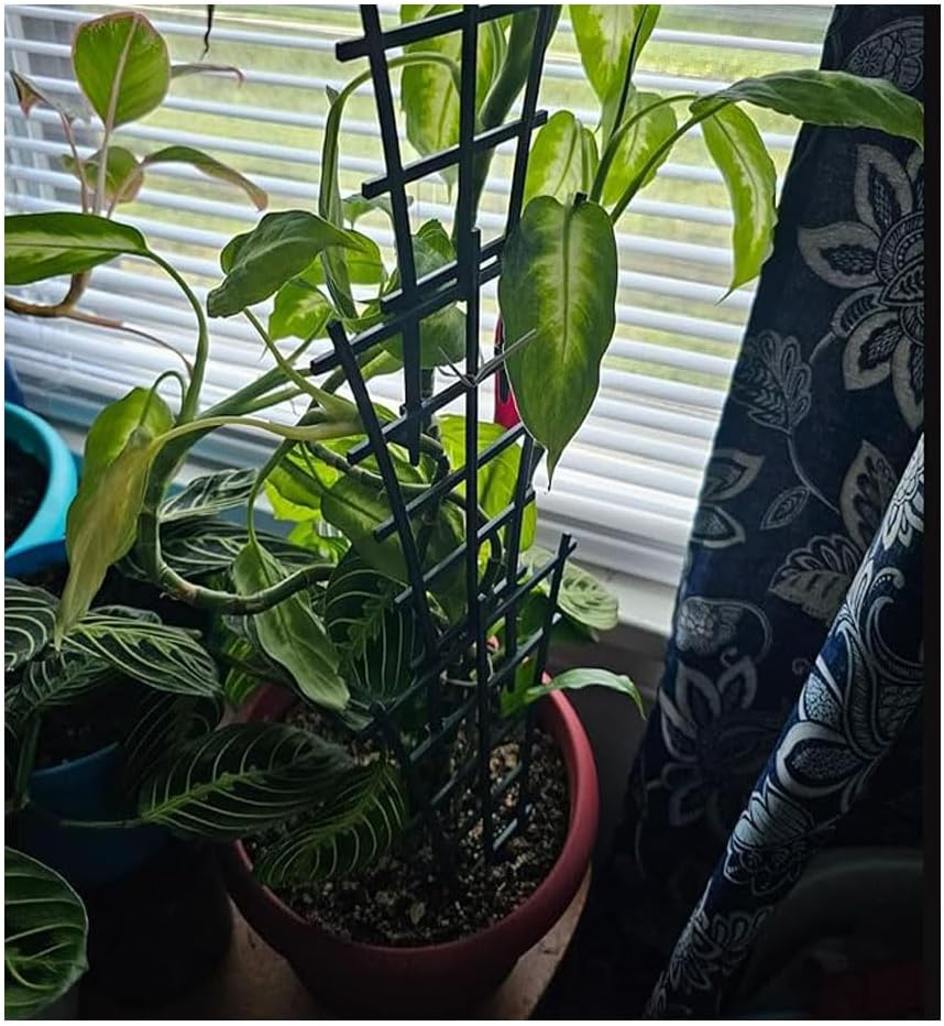 Plastic Plant Trellis, 16-Piece Stackable Support for Indoor and Outdoor Climbing Plants image number 4