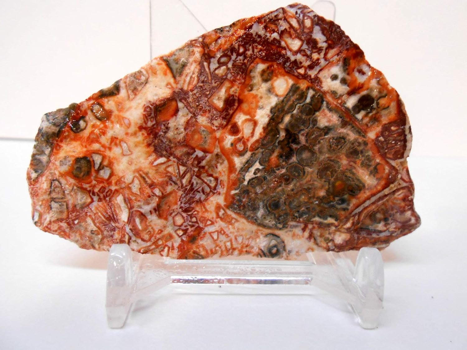 Rockhound'S 1St Choice Rock Tumbler Gem Refill Kit -Mexico Red Leopardskin Jasper Rough- 8Oz image number 4