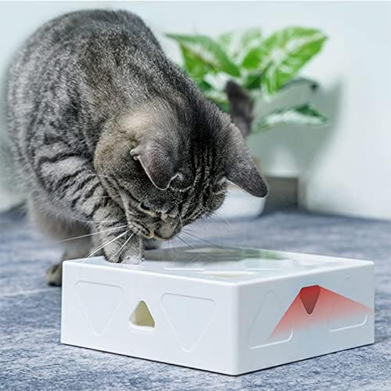 Durable Cat Toys, Automatic Funny Cat Box with 7 Holes Automatic Feather Mice Obsessed Fun Interactive Cat Toy Durable Catnip Toys for Indoor Outdoor/815 (Color : Purple) image number 2