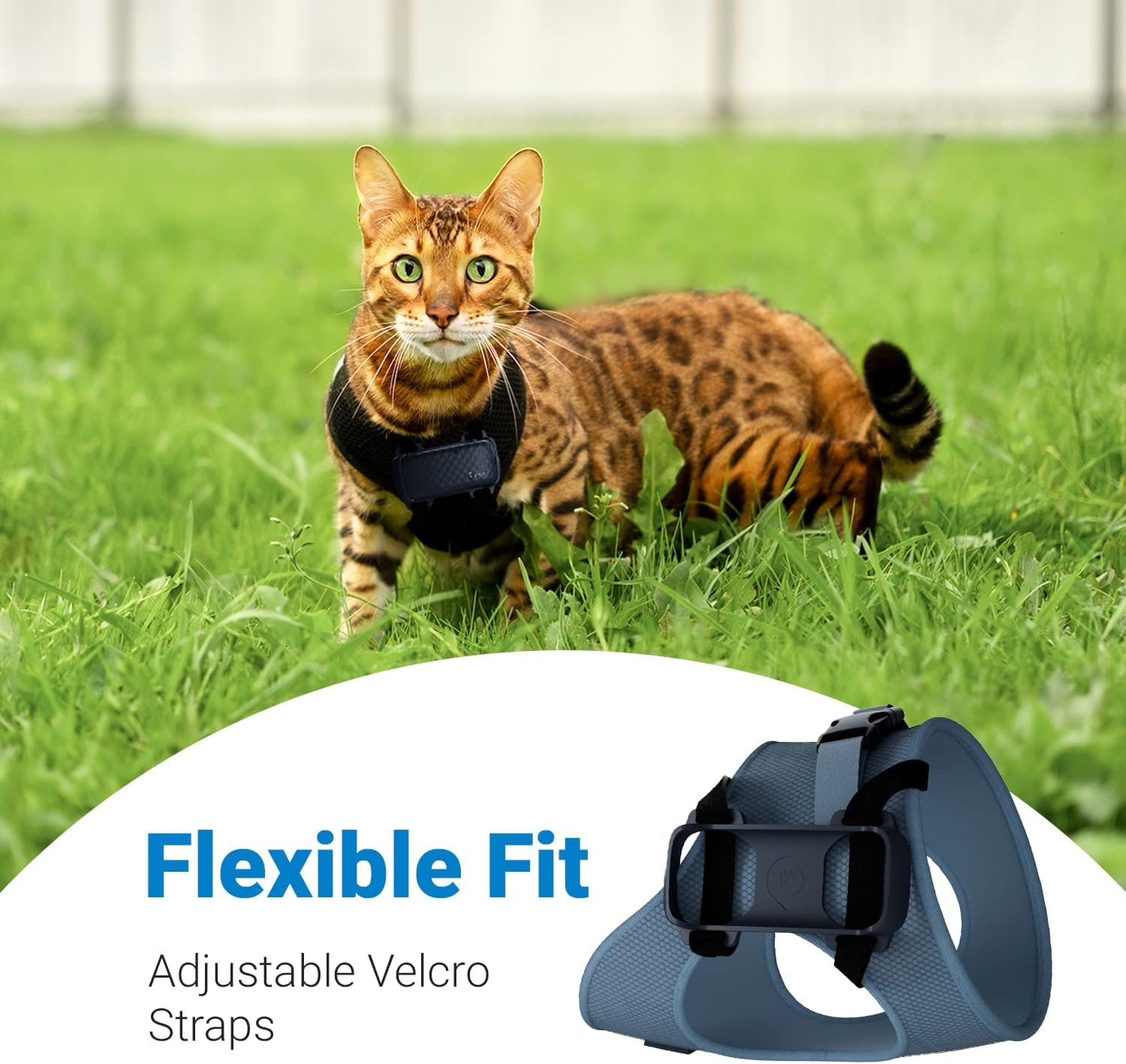 Tractive GPS CAT 4 Tracker Harness Attachment. Ideal for Cat Walks with Peace of Mind. (W/Velcro Straps), Black image number 5