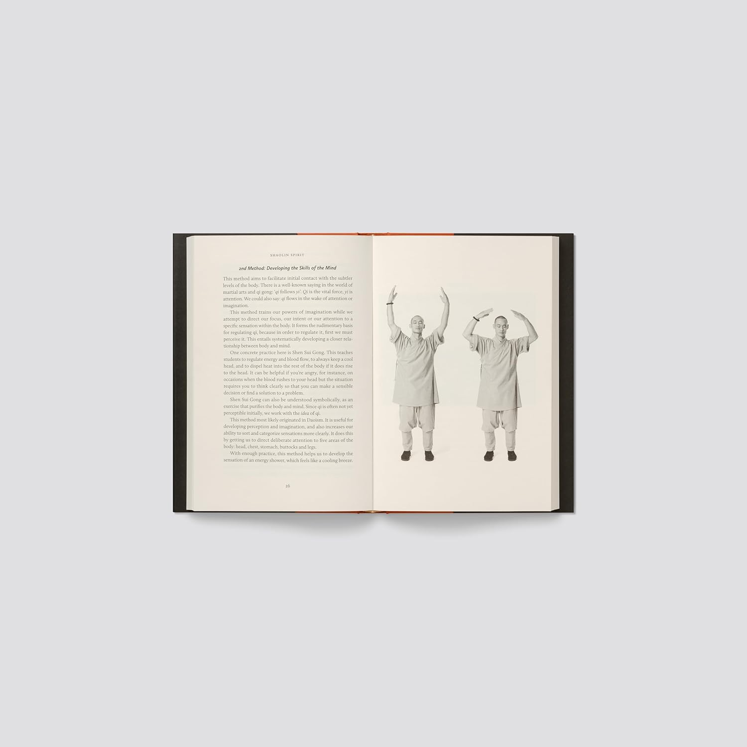 Shaolin Spirit: the Way to Self-Mastery image number 2