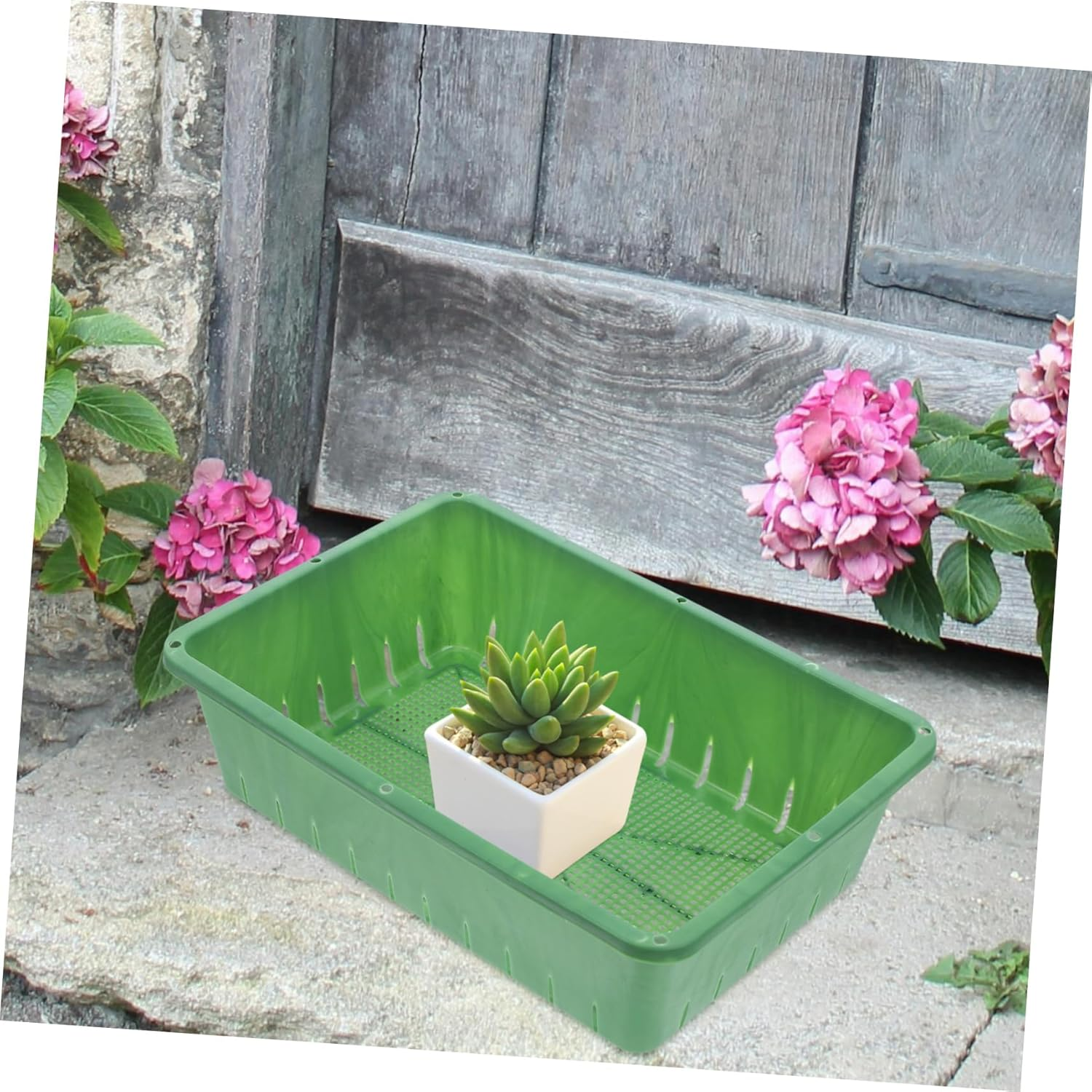 FONDOTIN 2 Pcs Green Planting Trays for Seedlings and Small Succulents, Plastic Nursery Supply Containers 26X18X7Cm, Reusable Propagation Grow Trays for Home Gardening and Greenhouse image number 3