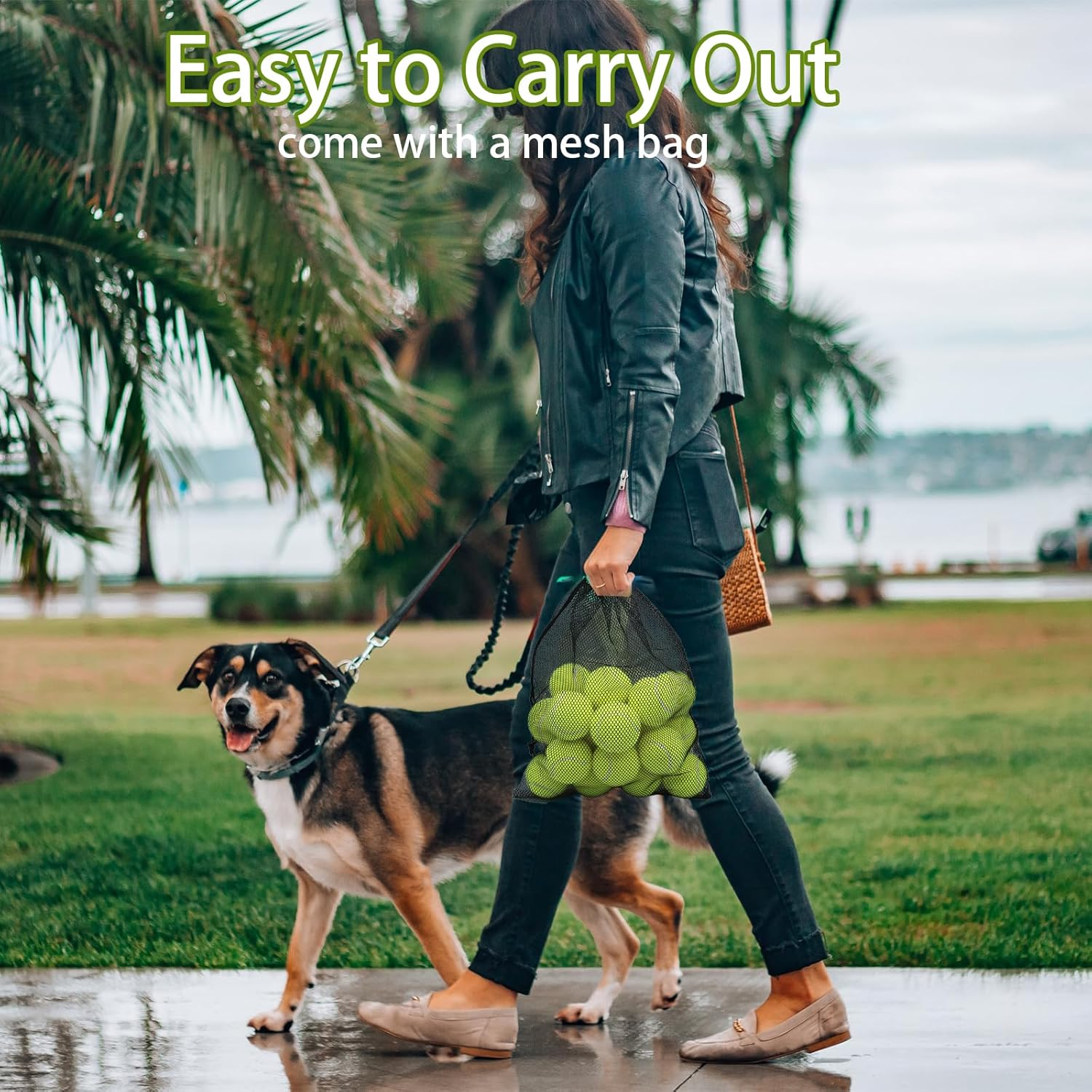 Magicorange Dog Tennis Balls, 20 Pack 2.5 Inch Floatable Squeaky Tennis Balls for Fetch Exercise, Natural Rubber Squeaky Dog Balls Training Safe (Yellow, 2.5Inch) image number 5