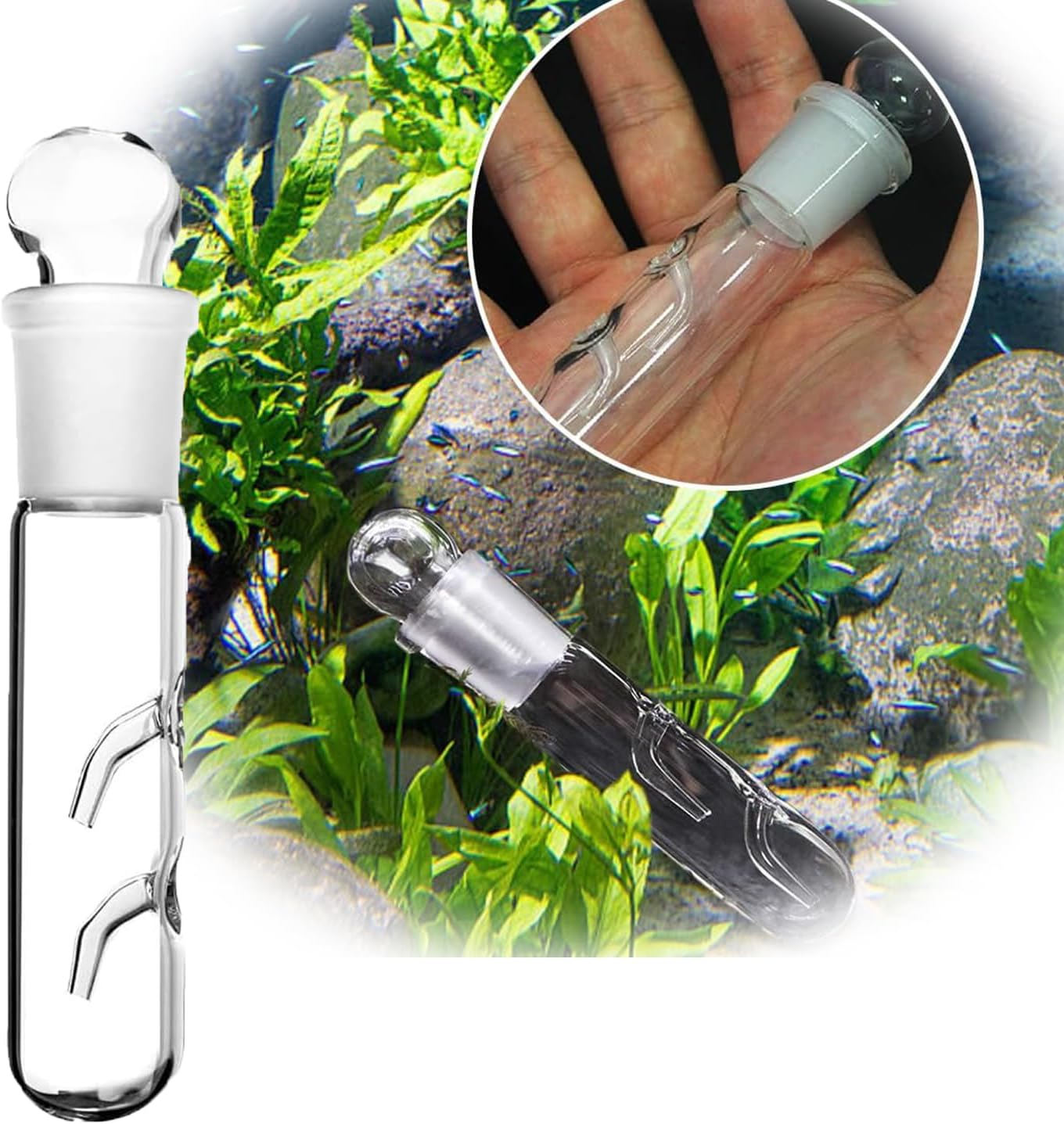 WEZCHUGHAOL Planaria Trap for Aquarium - 3Pcs Glass Leech & Bristle Worm Catcher, Shrimp Tank Cleaner with Dual Entrance Design, Safe Flatworm/Planaria Remover for Freshwater Fish Tank Accessories image number 3