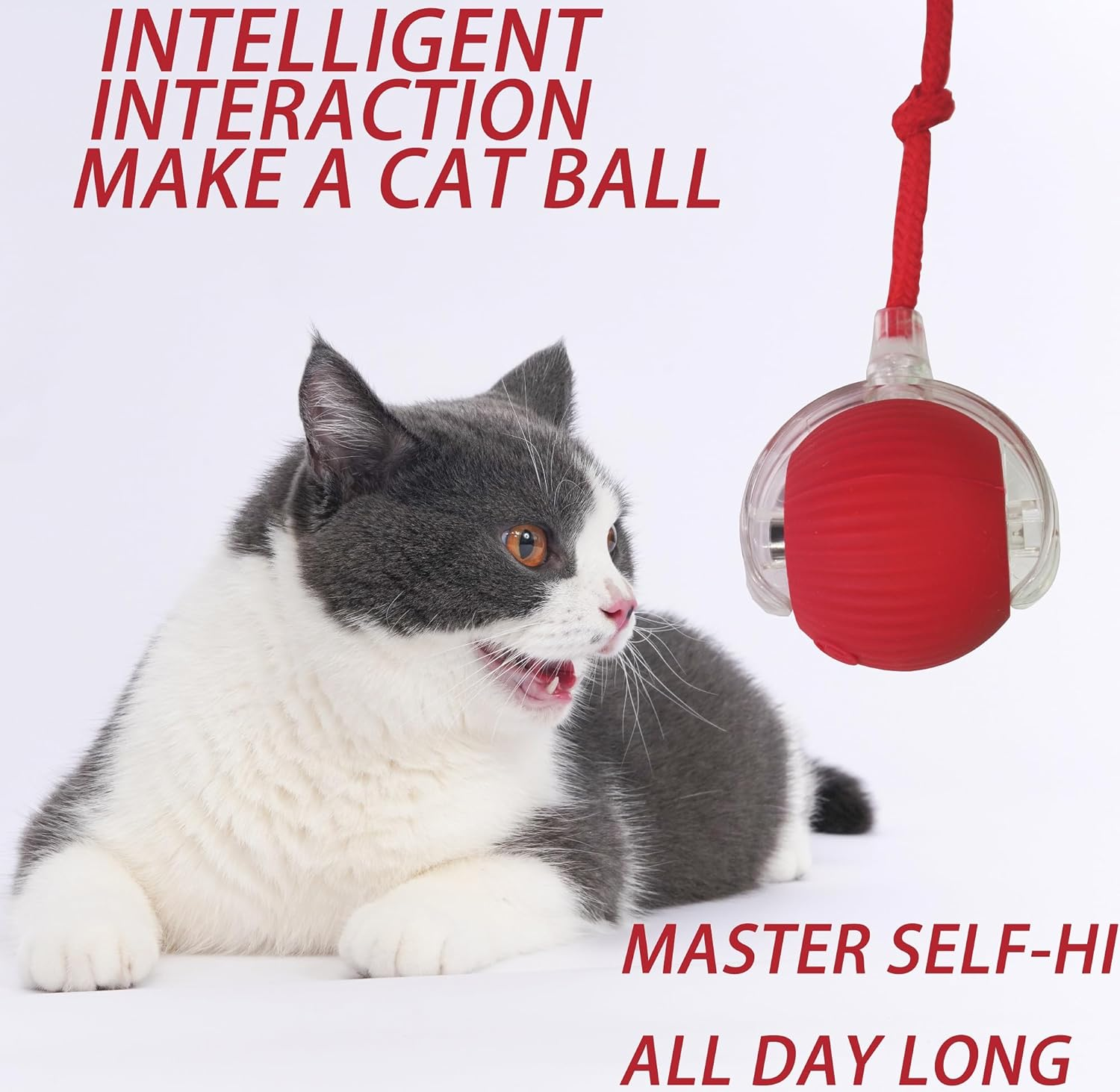 2PCS Interactive Cat Toy,Upgrade Interactive Cat Dog Toys Ball Fast Rolling,Self-Playing Automatic Moving Kitten Toys for Cats,Durable and Safe Material,360&deg; Smart Automatic Rolling Ball (Red+Green) image number 5