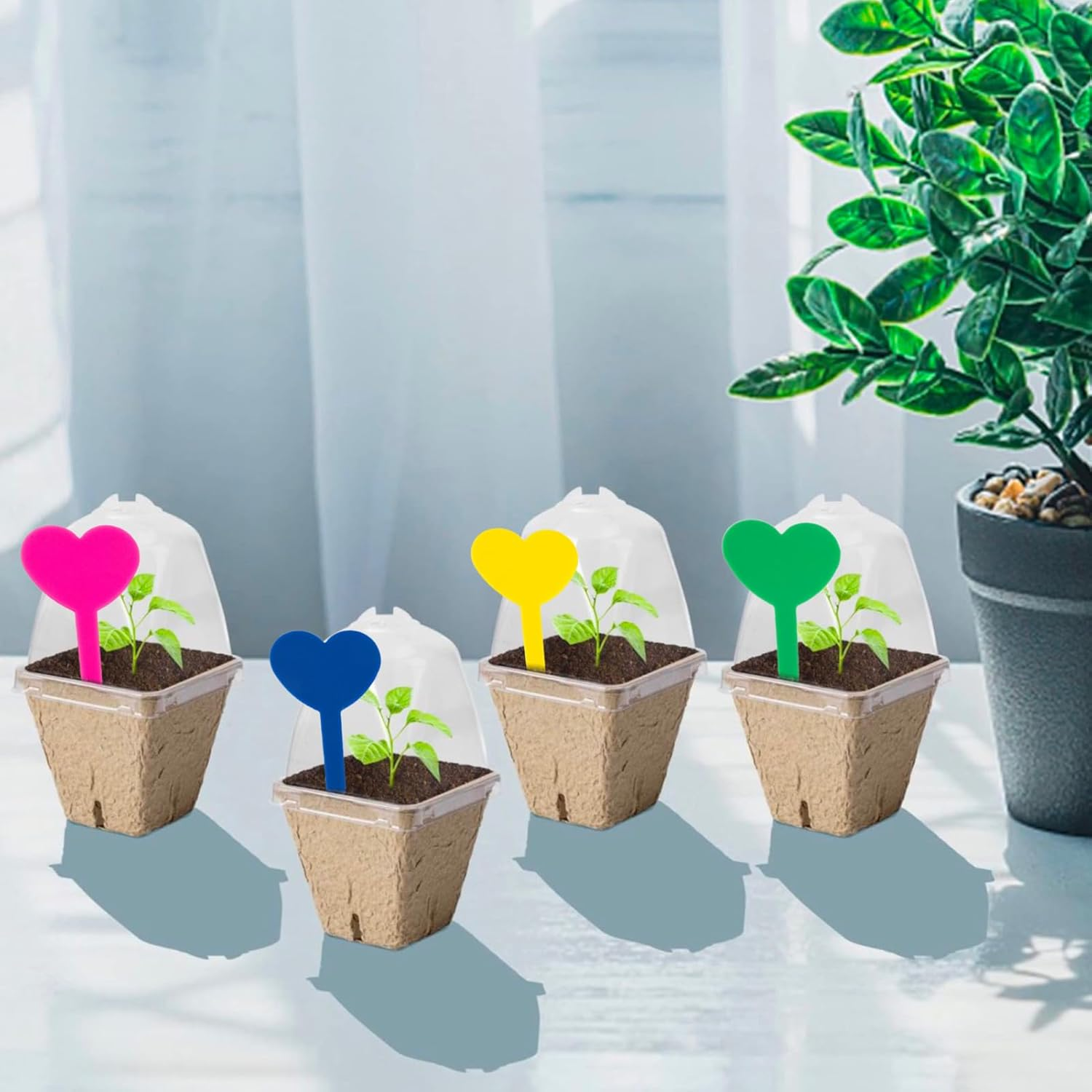 20 Pcs Seedlings Peat Pots, Biodegradable Nursery Pots for Plants with Humidity Domes with 20Pcs Plant Labels, Square Design for Plants, Flowers, Vegetables image number 1