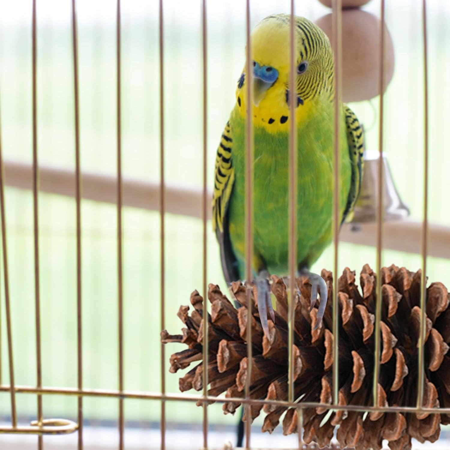 Natural Pinecone Bird,Parrot Stand - Bird Perch, Pinecone, Bird Cage Accessories, Parrot Chew Toys, Paw Grinding Stick, Bird Toys for Parakeets, Bird Perches for Finch, Parakeet Arch-Au image number 3