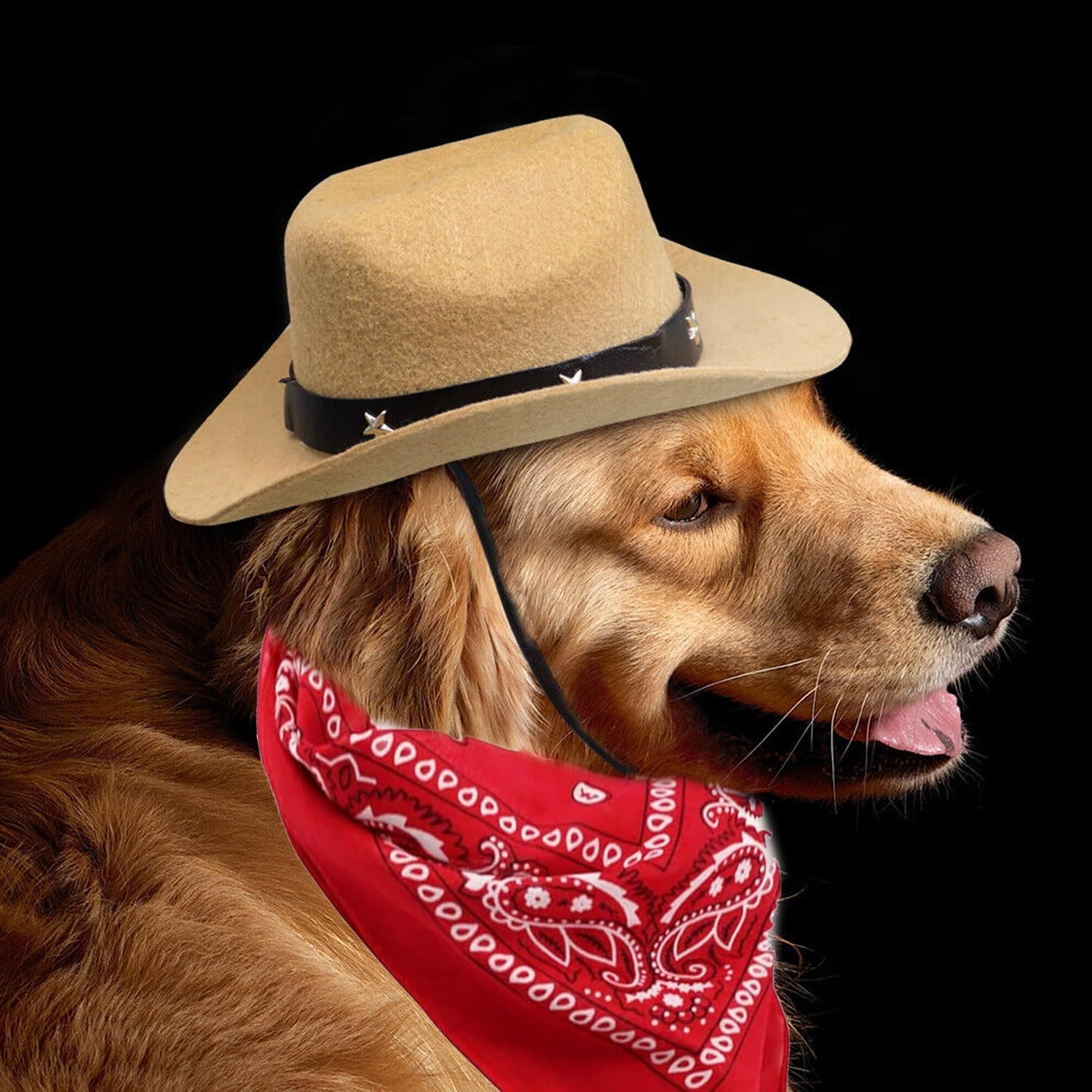 2 Pices Dog Cowboy Hat, Pet Dogs Cowboy Costume Hats, Pet Party Cowboy Hat, Western Dog Cowboy Hat, for Puppy Kitten, Pet Party Festival and Daily Wearing Decoration image number 2