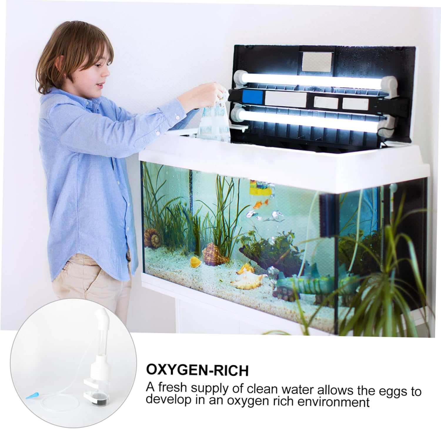 HAPINARY 2Pcs 50Mm Fish Hatchery Incubator Egg Tumbler Mouth-Brooding Fish Breeding Tank Aquarium Breeder Box for Cichlid Fry in Aquatic Pets Random Color