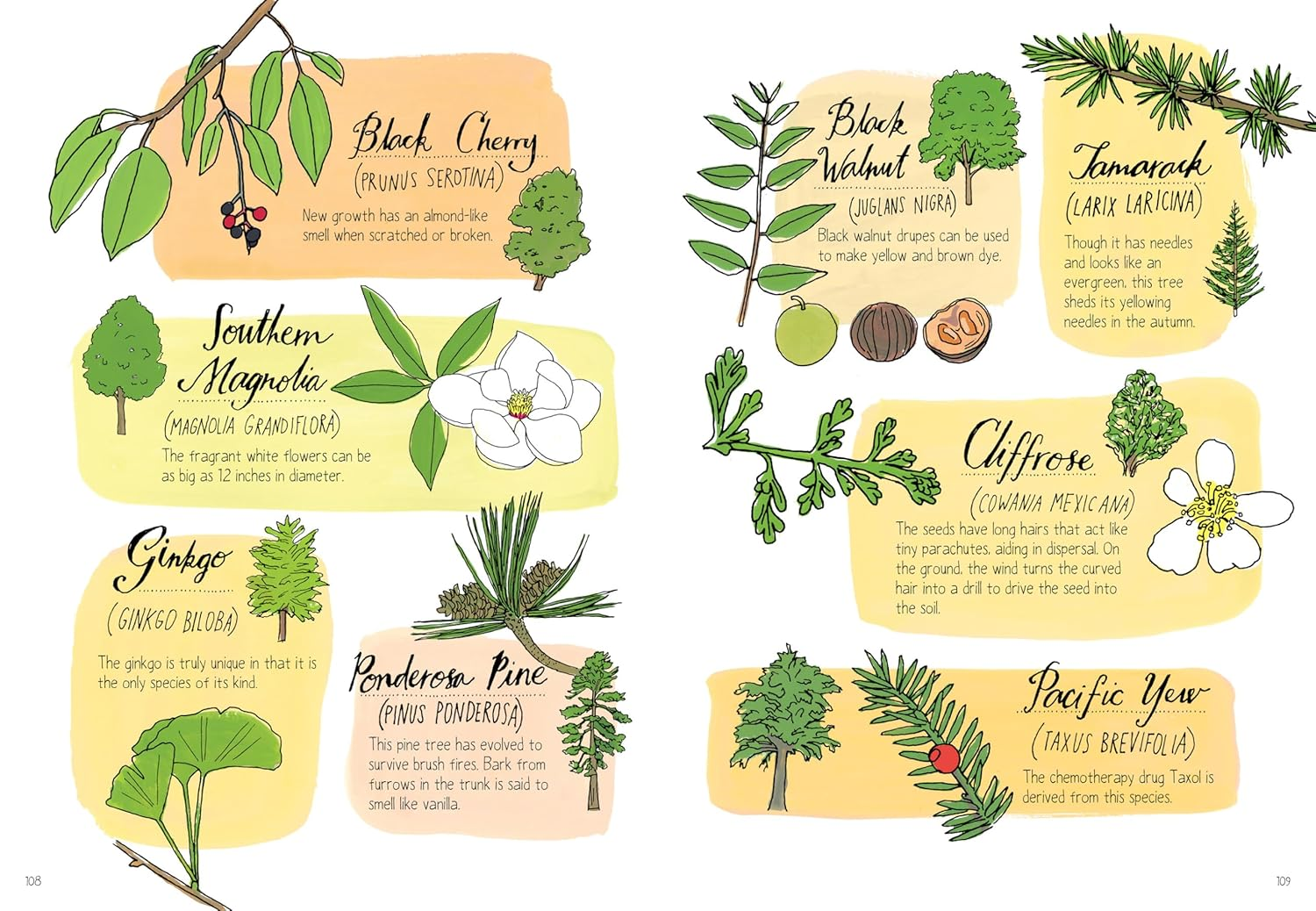 Nature Anatomy: the Curious Parts and Pieces of the Natural World image number 3