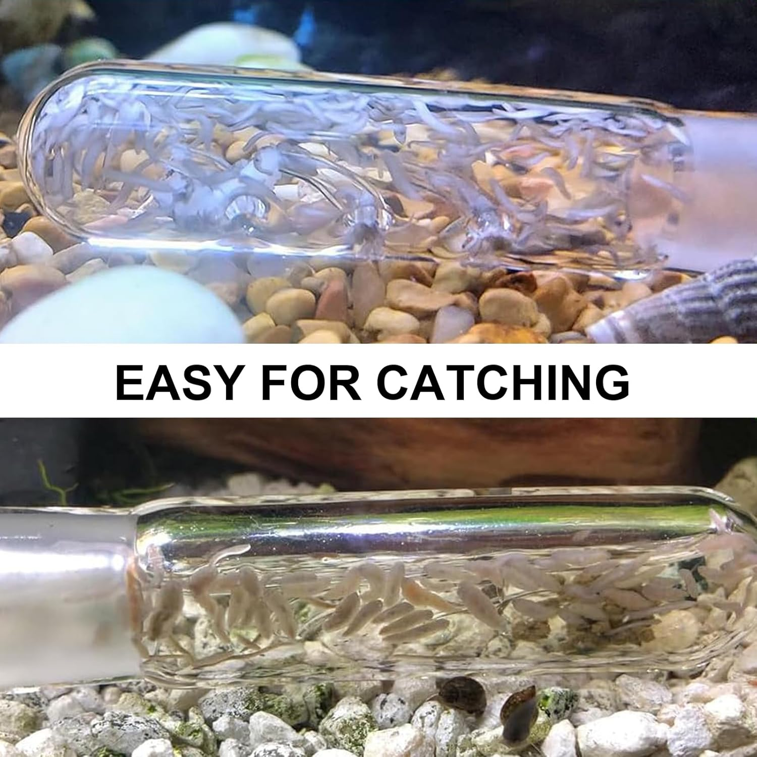 Glass Planaria Trap for Aquariums, 3-Piece Set, Leech and Worm Catcher image number 5