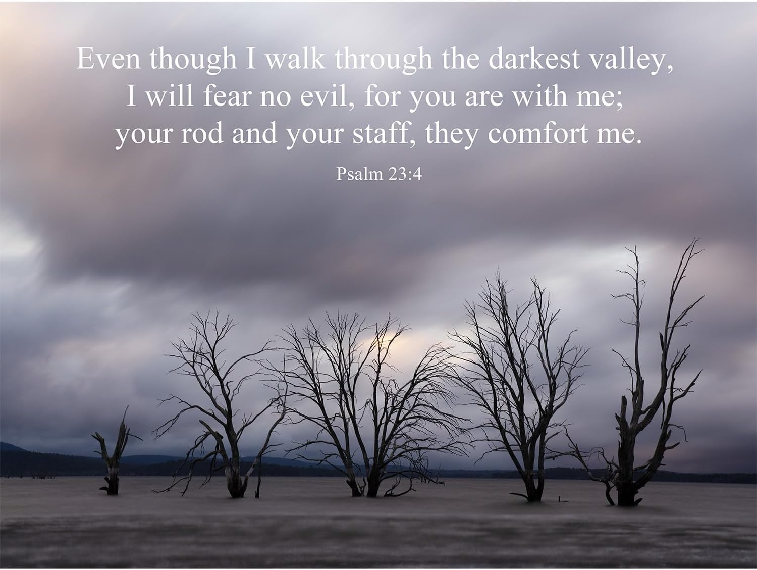 Tomuu Erissa Bible Verses Wall Decor 30X40 Cm - Canvas Scripture Wall Art with Christian Gift Tree on Ice Lake - Psalm 23:4 - Inspirational Bible Verse for Home, Church, Office Decor - Ecclesiastes 3 11 image number 3