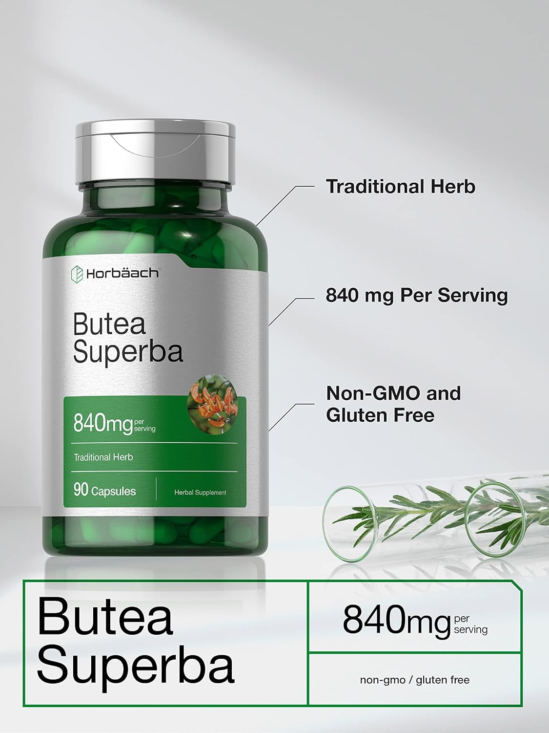 Butea Superba Root 840Mg | 90 Capsules | Male Performance Supplement | Non GMO, Gluten Free Supplement | by Horbaach image number 6