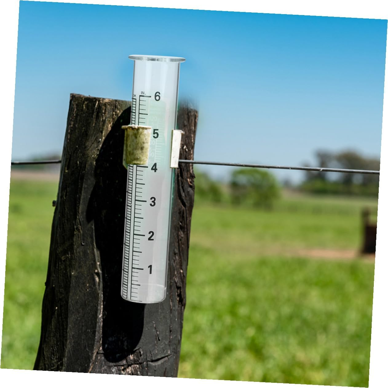 Gadpiparty 4Pcs Professional Glass Rain Gauge Replacement Tubes with Clear Scale Accurate Outdoor Measuring Cylinders for Garden Lawn Easy to Read Numbers Practical Rainfall Measurement Tools image number 3