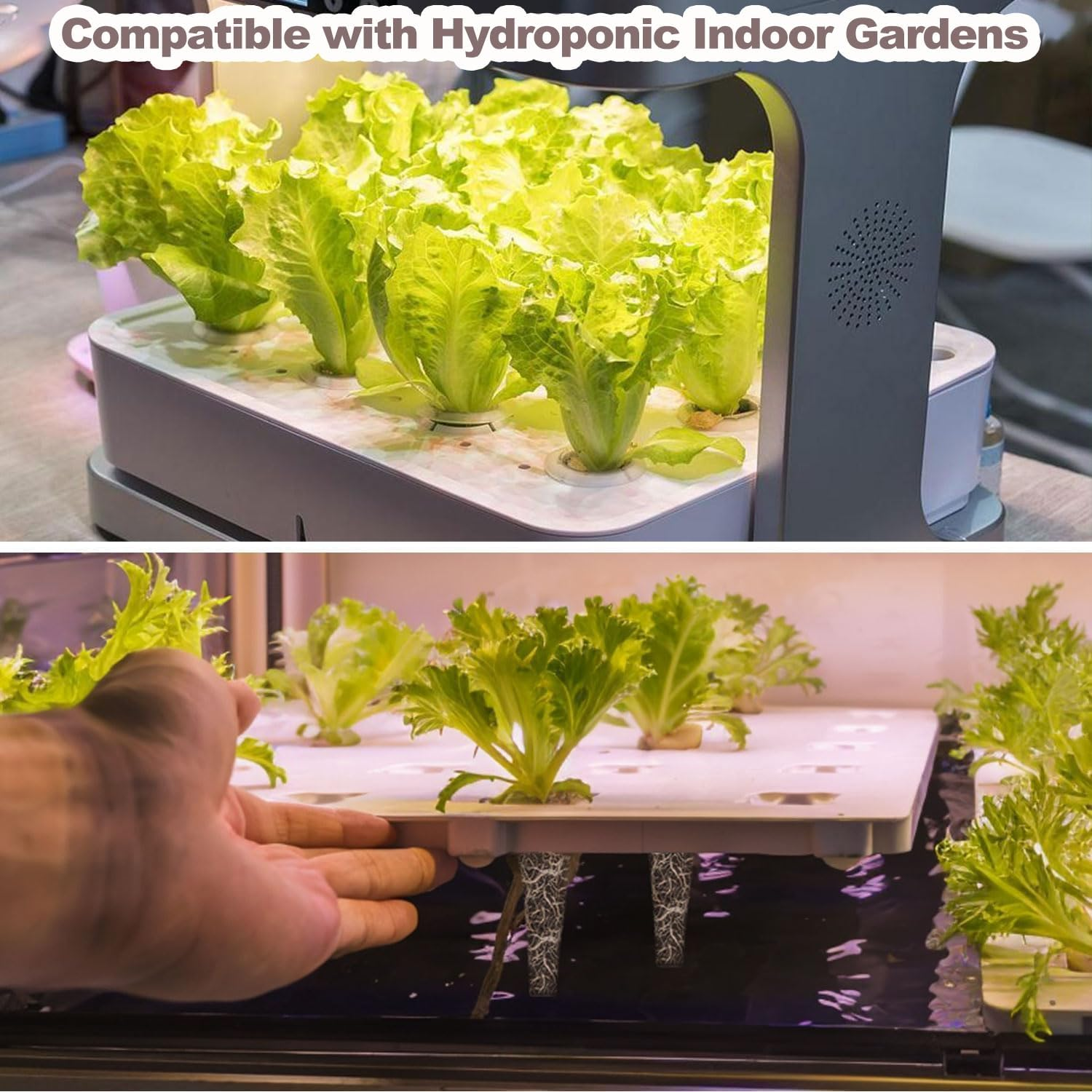 Wzenclave 50 Pack Grow Sponges Hydroponic Planting Block Planting Basket Seedling Block Planting Sponge Soilless Planting Basket Plant Growing Plugs Sponges for Indoor Hydroponic Plants Growth