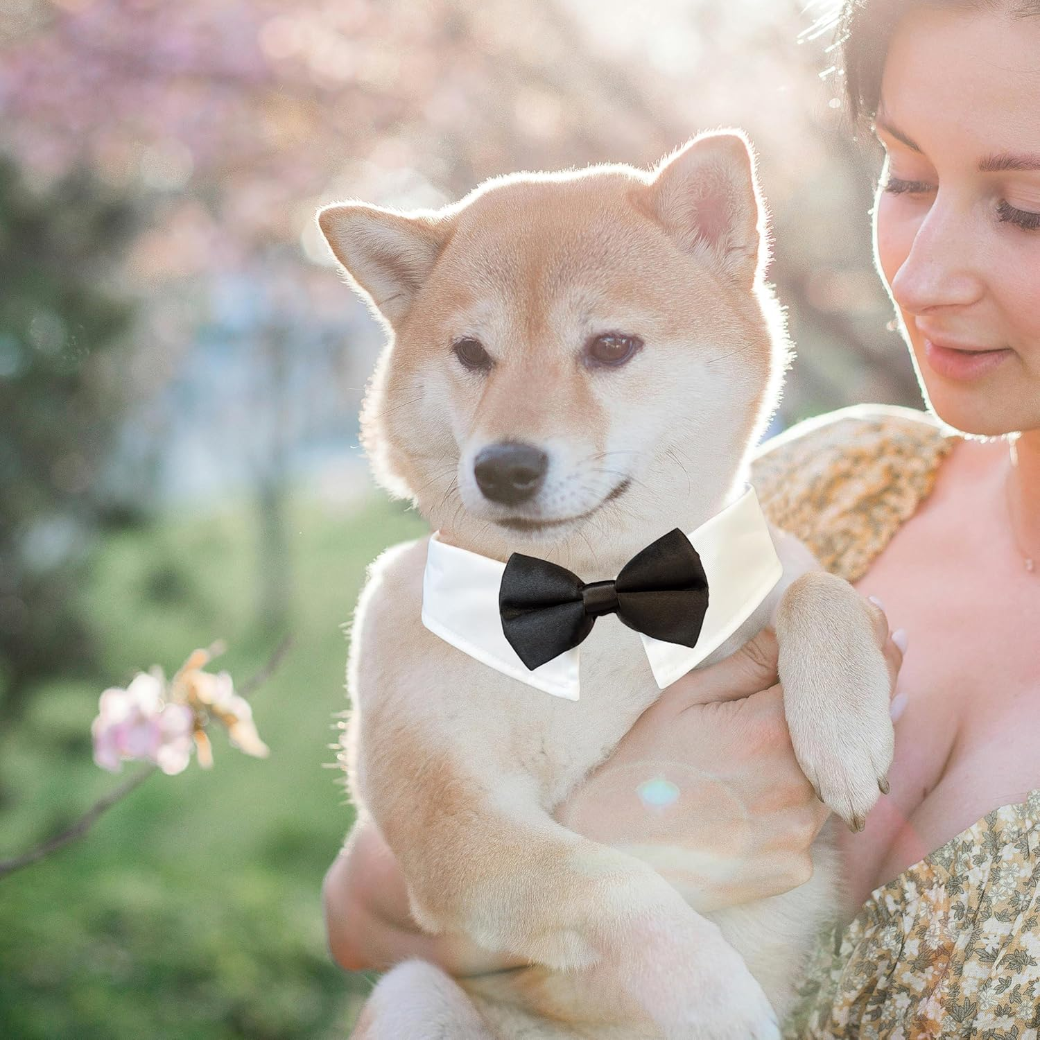 Dog Bowtie, KOOLMOX Tux Dog Collar for Weddings with Handcrafted Adjustable White Collar and Black Tie, Classic Neck Tie for Small to Medium Dogs Cats Puppies Valentine'S Costumes image number 3