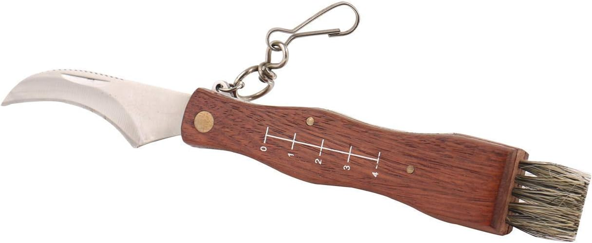 Run-Snail Mushroom Knife, Fungus Knife, Folding Camping Hunting Truffles Harvest Sharp Knives Natural Wood Handle Pocket Knife W/Bristle Brush, SS Pruning Blade, Hardwood Handle image number 5