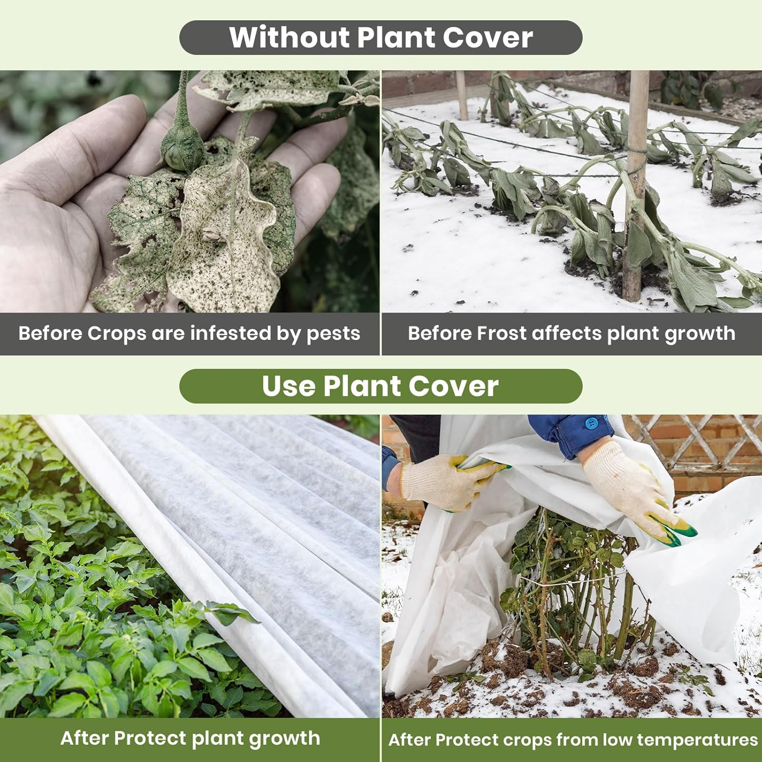 2.4 X 10 M Plant Fleece Frost Protection - Heavy Plant Protection Anti-Frost Cloth Winter Protection Garden Cloth for Vegetables Flowers Non-Woven Fabric Cover against Birds and Insects image number 6