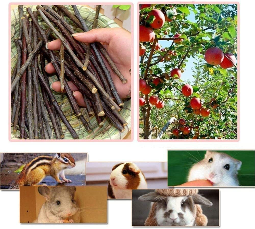 William Craft (100G Apple Sticks Pet Chew Toys Treats for Chinchilla Guinea Pigs Rabbits Squirrel Hamster image number 4