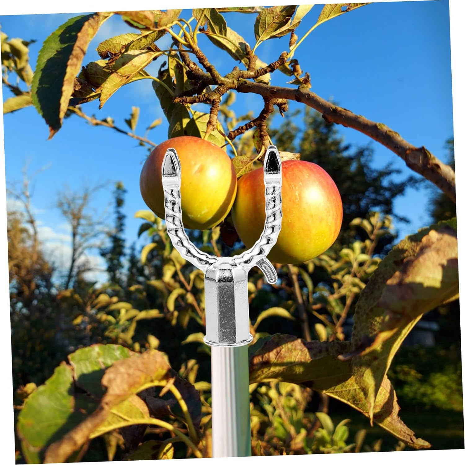 6Pcs Metal Tree Branch Supports Crutch System for Straightening Fruit Trees Lightweight Plant Braces for Use Versatile Support for Various Branch image number 6
