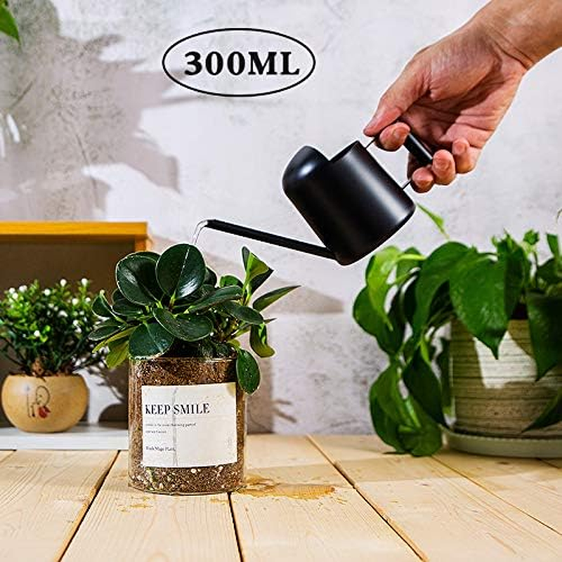 Mini Watering Can, 10Oz/300Ml Stainless Steel Long Spout Sprinkling Pot Small Watering Can for Plants, Garden Watering Pot for Indoor Outdoor Flowers, Succulents (Black) - Green image number 4
