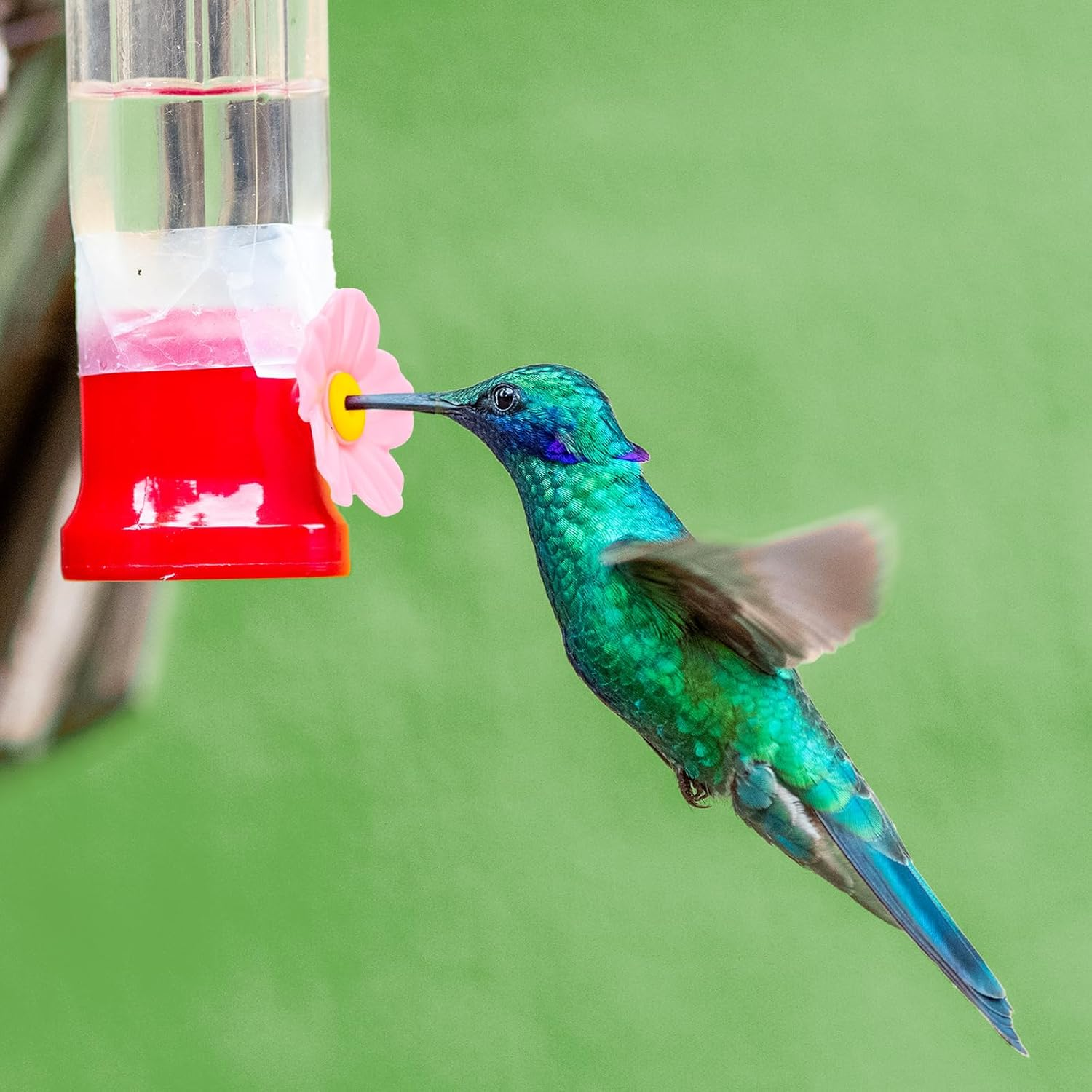 BOXOB 20Pcs Hummingbird Feeder Replacement Flowers, Pink Outdoors Hanging Hummingbird Feeder Parts with Brushes Bee Guards & Feeding Ports (Yellow Core) image number 3