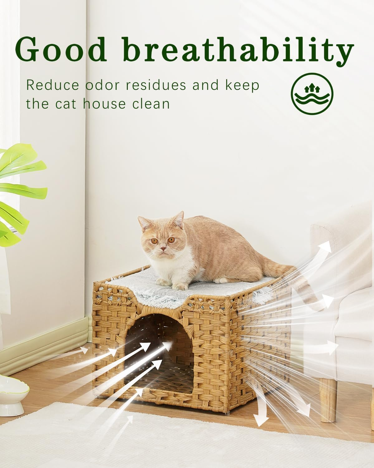 Homodoskey Cat Beds for Indoor Cats, Large Foldable Handwoven Rattan Cat Cave for Pet Cat House, Cute Kitten Condo Hideaway Hut with Soft Mat for Pets image number 4