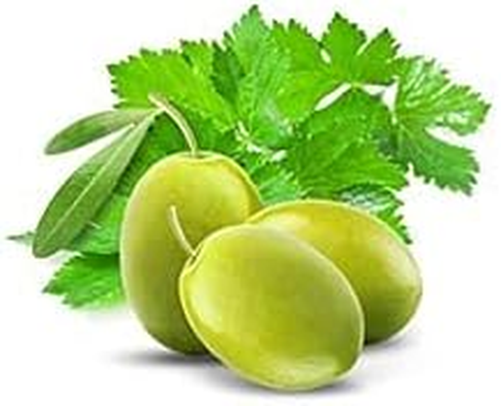 Fruits & Passion Hand Wash Hand Cream Duo Coriander & Olive Tree image number 5