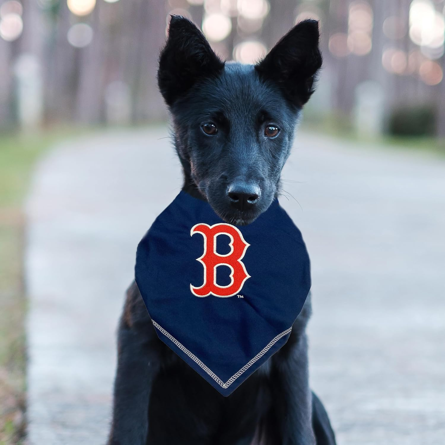 Pets First MLB Boston RED SOX TIE Bandana, Large/X-Large. Dog Bandana Scarf Bib for Pet Cat Dog. the Ultimate Game-Day, Party Bandanna (RSX-3550-L-XL)