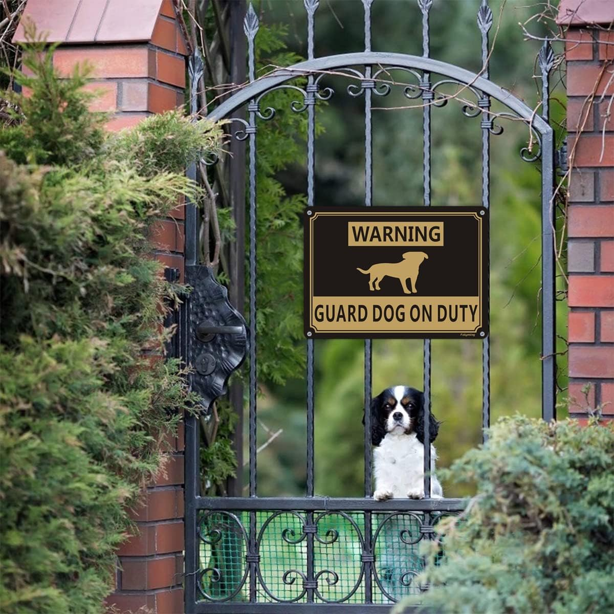 2 Pack Warning Guard Dogs on Duty Signs 10X7 Inches Dog Warning Yard Signs Metal Reflective Sturdy Rust Aluminum Waterproof Easy to Install image number 4