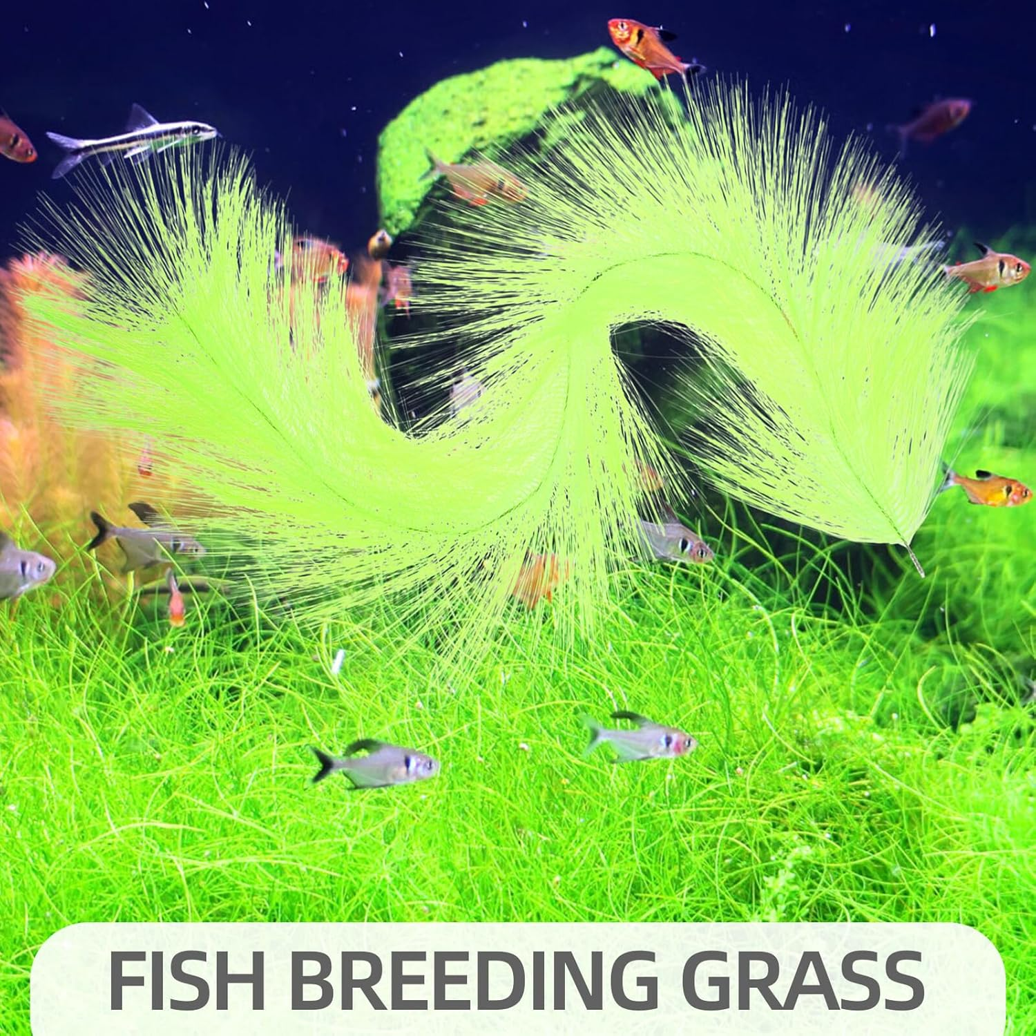 Ifundom Stainless Steel Core Fish Hatch Brush Aquarium Breeding Grass for Fish Tank Spawning Rust-Resistant with Vivid Colors Suitable for Home Aquatic Pets image number 5