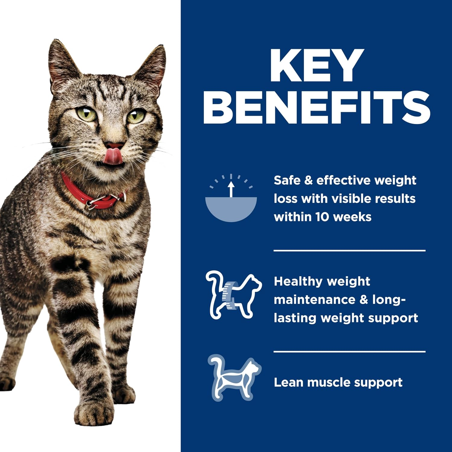 Hill'S Science Diet Perfect Weight Salmon & Vegetable Canned Cat Food 24X82G image number 4