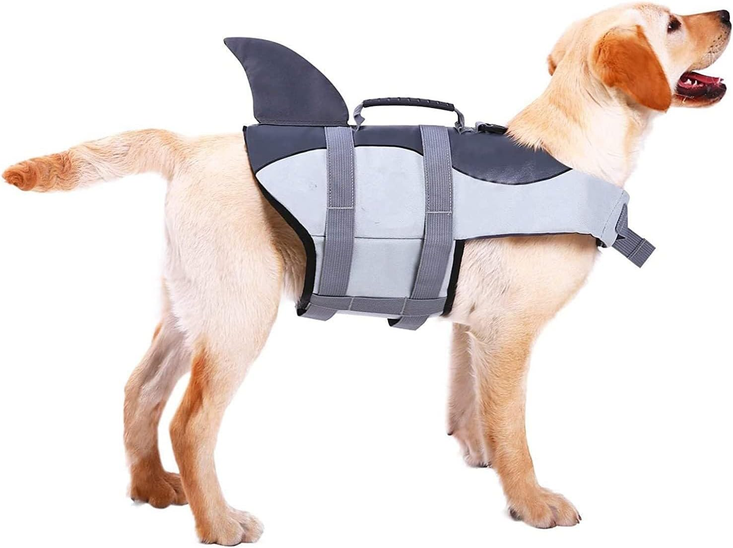 Ripstop Dog Life Jacket Pet Life Water Vest with Rescue Handle Life Safety Saver Preserver for Small Medium Large Dogs (Grey, M)
