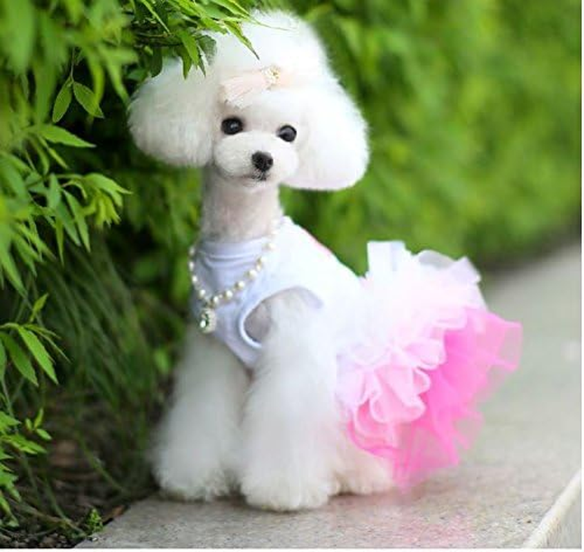 PIXRIY Dog Dress Tutu Skirt Princess Puppy Dress Vest Cute Spring Summer Pet Clothes Apparel for Small Dogs and Cats image number 4