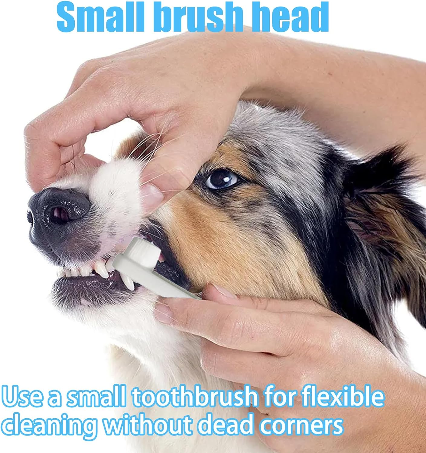 Dog Toothbrush, Dog Toothbrush for Small Dogs, Cats Dental Care for Dogs, Oral Hygiene, Deep Clean for Pets Cleaning (Pack of 3) image number 2
