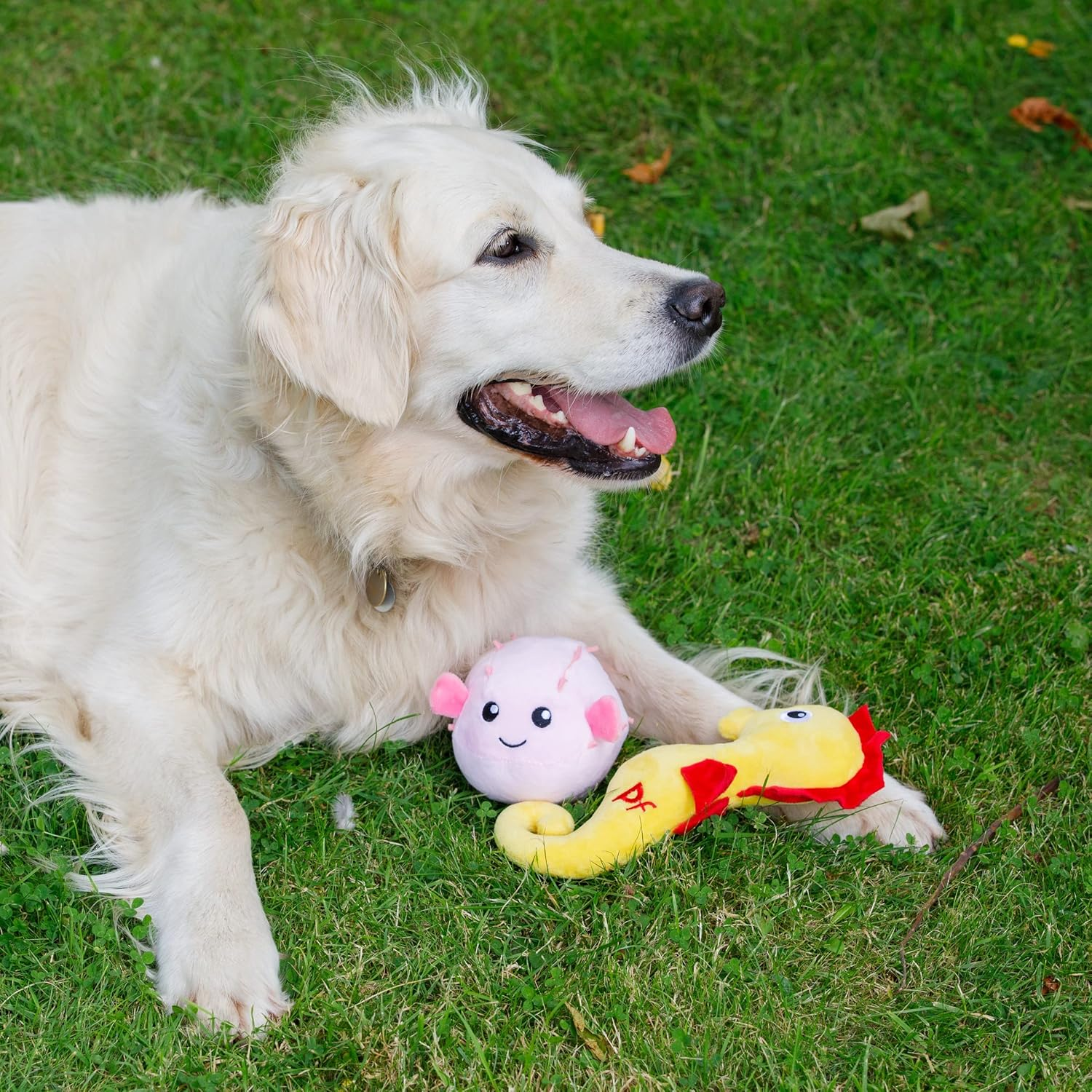 Petface Planet Plush Pippa Puffa Fish Eco Friendly Dog Toy image number 6