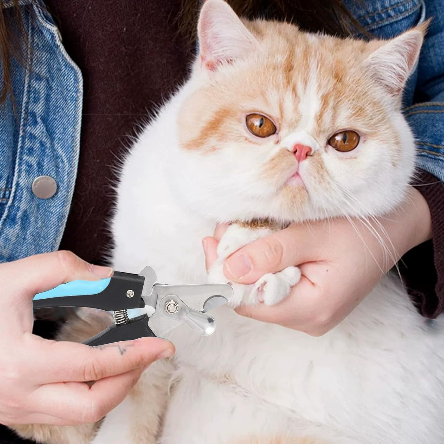 2 Pack Pet Nail Trimmer Clipper Set with 2 Nail Files, Dog Nail Clippers for Small, Large & Medium Dogs Cats Pet Toenail Clippers with Nail Files image number 3