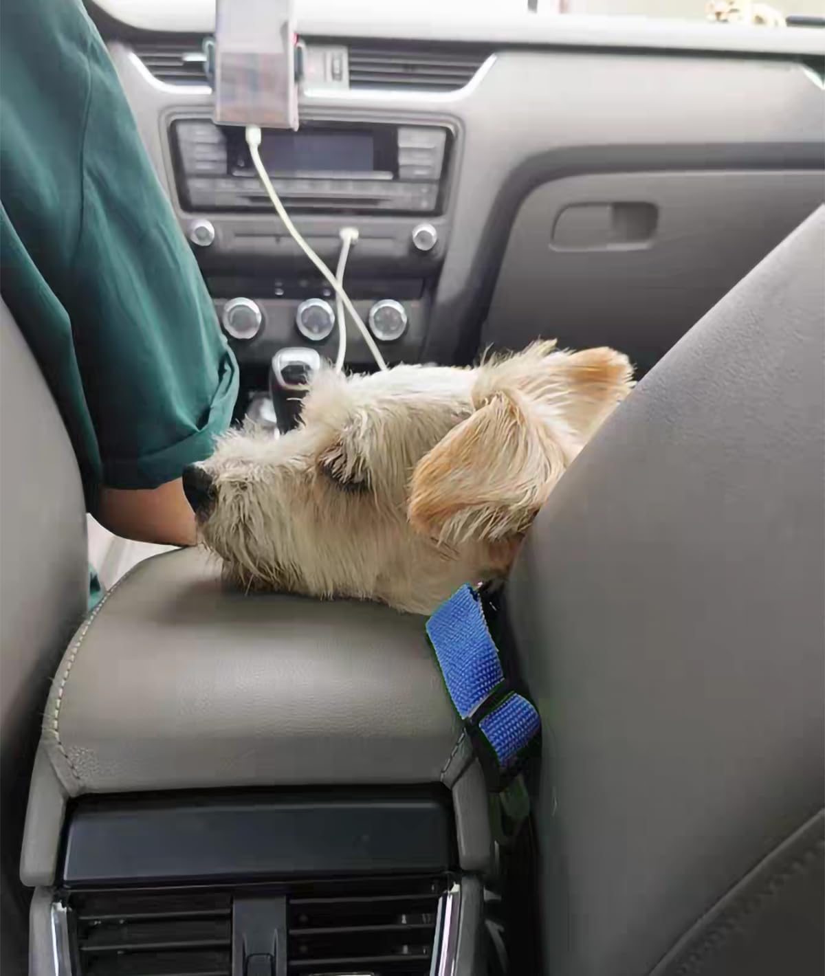 Dog Seat Belt 2 Pack,Adjustable Dog Car Harness for Driving Safety，For Prevent Dogs from Jumping Out of Windows Car Restraint Pet Accessories for Dogs (Purple, 70 * 2.5CM) image number 3