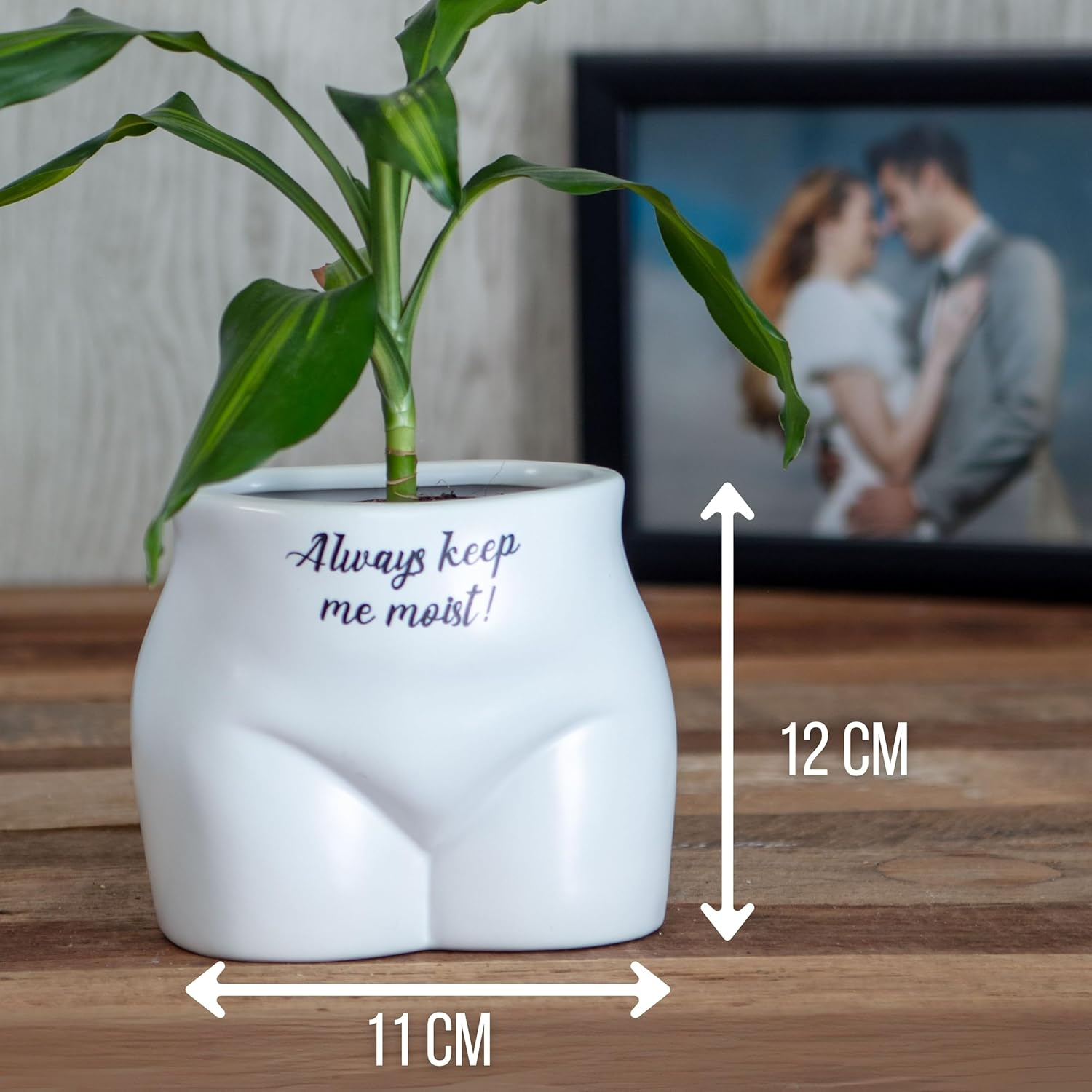 Boxer Gifts Always Keep Me Moist' Novelty Body Shaped Plant Pot | Funny Rude Home D&eacute;cor Gift, Ceramic, White,Black, One Size image number 1
