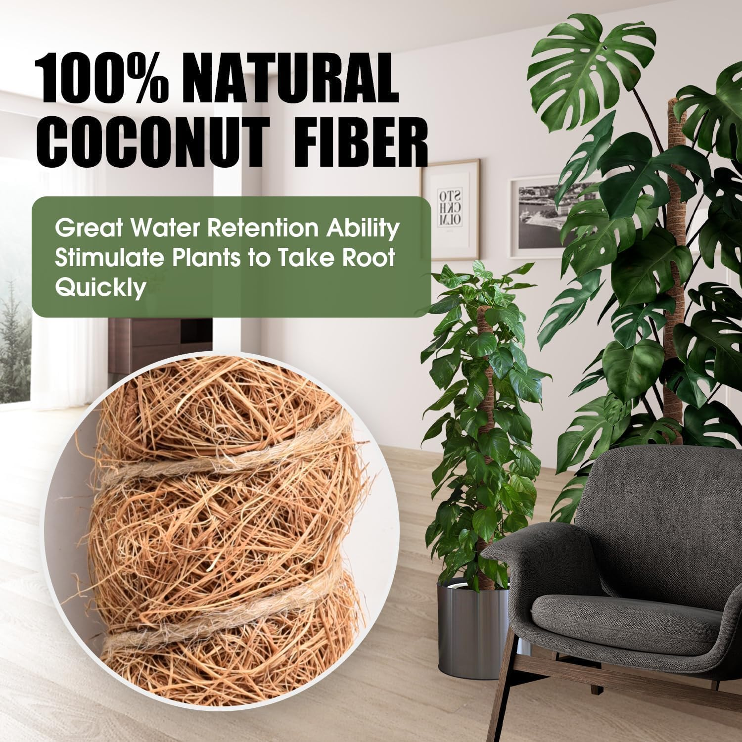 Mumiuu 2 Pack Moss Pole, 63 Inch Bendable Plant Support Sticks for Climbing Plants, Brown, Fiber & Aluminium image number 4