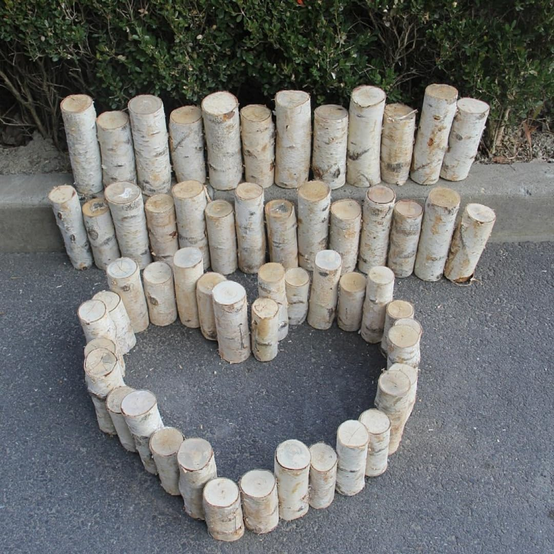 6Pack Birch Wood Logs Decorative Gas Fireplace Logs for Fireplaces D&eacute;cor Birch Poles Branches for DIY Crafts, Fire Wood for Fire Pit,Rustic Wood Decor Indoor/Outdoor(2.3"-3.2" Dia. X 16.5" Length)