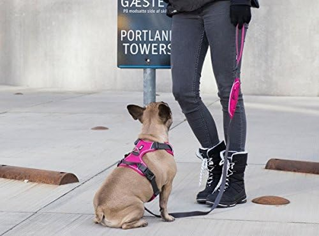 DOG Copenhagen Urban Trail Lead, Brown, Large image number 3