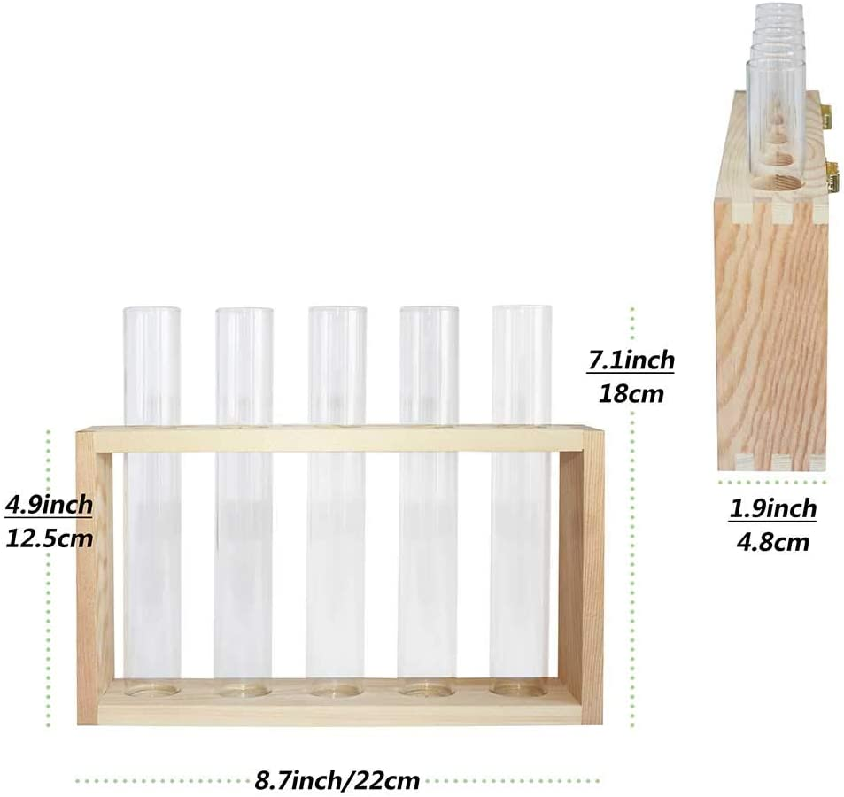 Laffeya Hydroponic Plant Stand, Plant Terrarium with Wooden Stand, Wall Hanging Test Tube Planter Modern Flower Bud Vase Stand, Plant Tabletop Terrarium, DIY Terrarium Kit