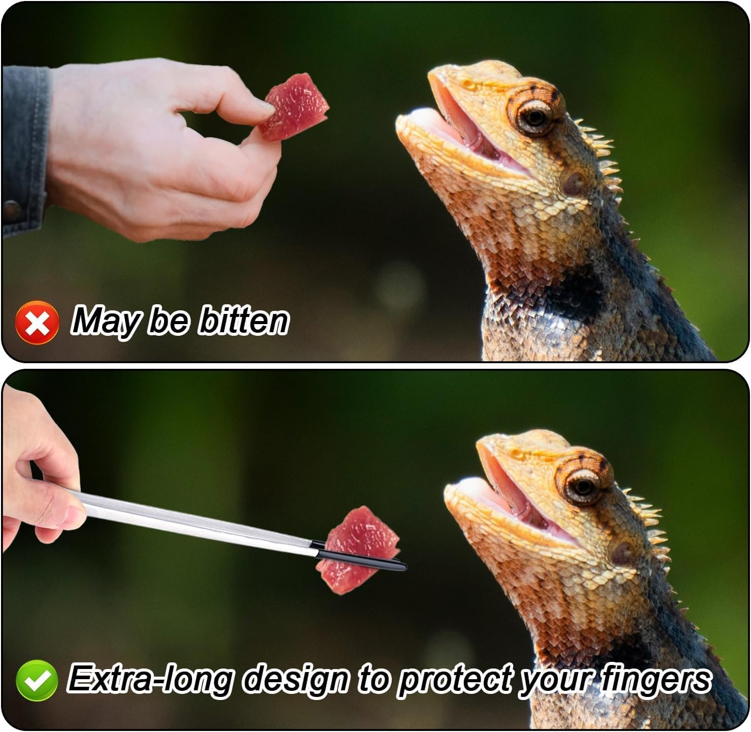 Stainless Steel Reptile Feeding Long Tongs Tweezers with Rubber Tip,3Pcs Stainless Steel Straight and Curved Tweezer Aquarium Tweezers with Rubber Tip,Reptile Feeding Tongs Straight and Curved Tweezer image number 3