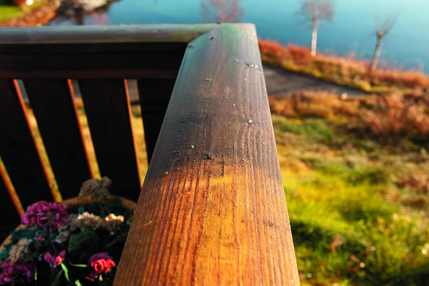 Masport AVA Facade Brush, Large image number 3