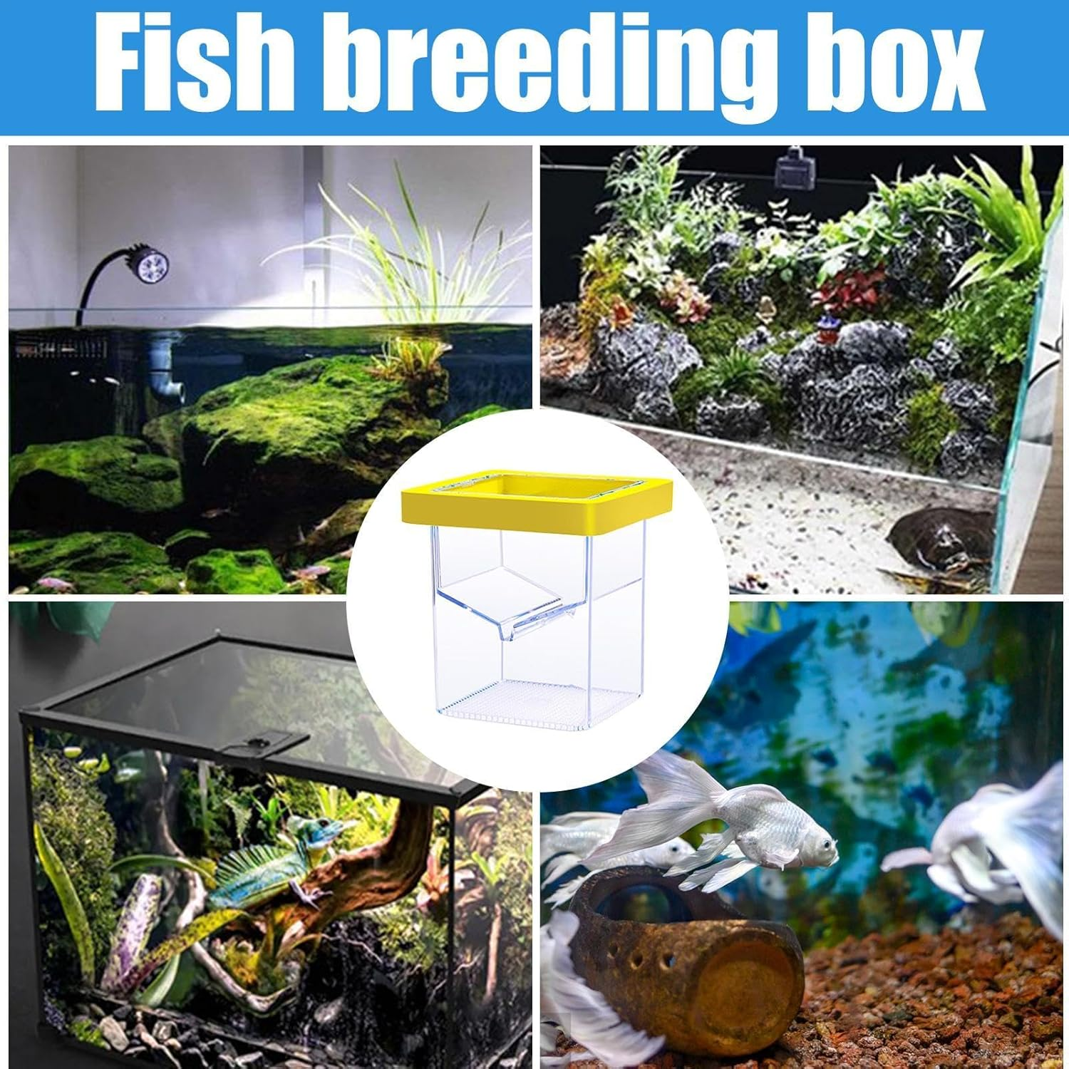 Ccuzs Fish Breeder Box, Aquarium Hatchery Incubator, Transparent Design Easy Installation Fish Nursery, Suction Cup Isolation Container for Aquatic Pets, 4.33X3.39X3.39 Inches image number 5
