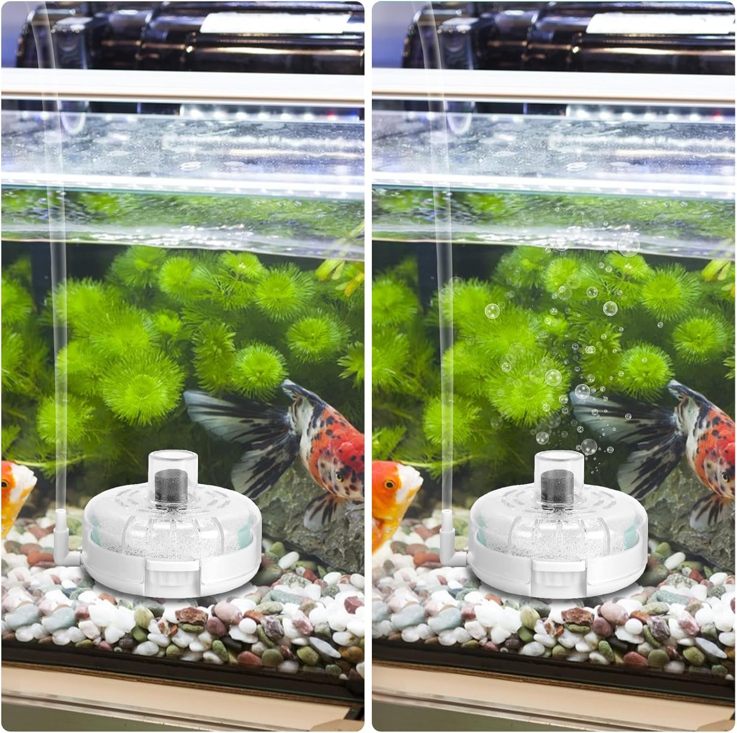 KALIONE Small Aquarium Filter, Mini Aquarium Sponge Filter, Small Filter for Fish Tank, Transparent Turtle Tank Filter, Small Fish Tank Water Filter for 2-6 Gallon Aquarium Betta Fish Tank image number 6